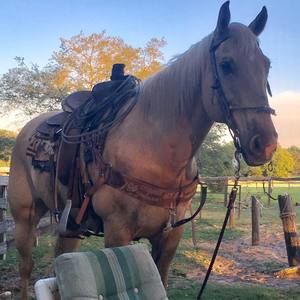 Meet your Posher, Dayna